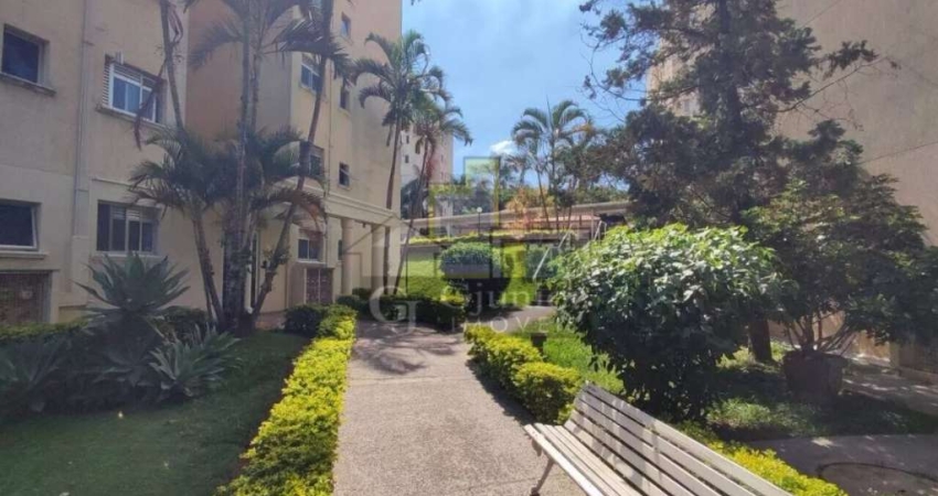 Apartamento para Locação com 2 Dormitórios, Vila Nova Teixeira, Campinas (SP) - AP861