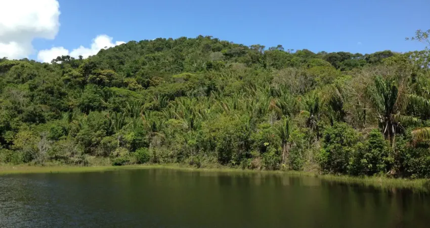 Belíssima Área Rural em São Roque do Paraguaçu 303,5 Hca Apta a Diversificação de Projetos