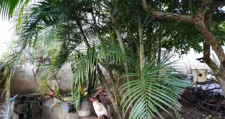 Casa com 3 quartos à venda no Jonas Veiga, Belo Horizonte 
