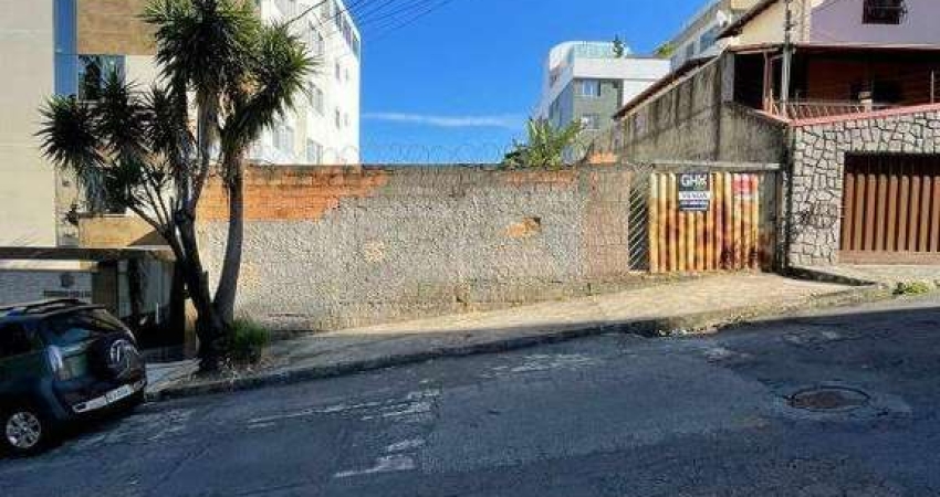 Terreno à venda no Fernão Dias, Belo Horizonte 