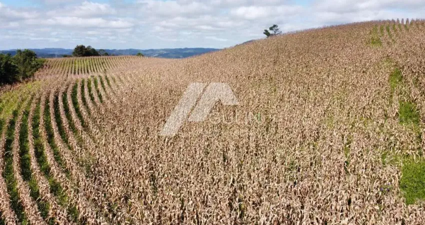 Terreno à venda no Centro, Campo Magro 