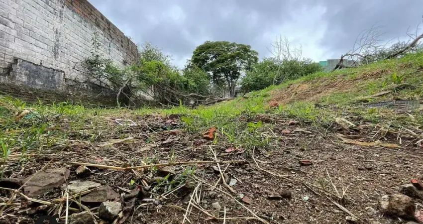 Terreno comercial para alugar na Rua Esteban Murillo, Vila Pedroso, São Paulo