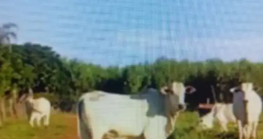 Fazenda  à venda, 345470000 m² por r$ 9.600.000 - capim branco - unaí/mg