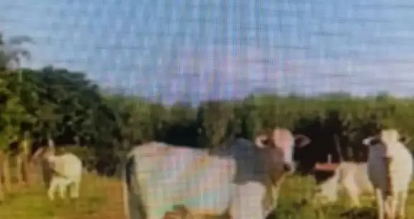Fazenda com 6 dormitórios à venda, 345470000 m² por R$ 9.600.000,00 - Água Branca II - Unaí/MG