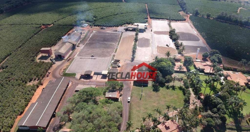 Fazenda com 6 dormitórios à venda, 13380000 m² por R$ 280.000.000,00 - Santa Clara 2 - Piumhi/MG