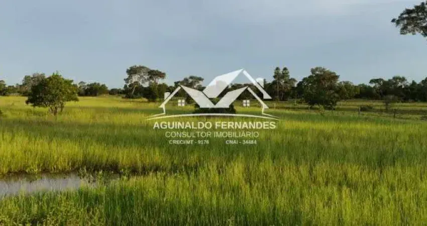 Fazenda à venda no Pirizal, Nossa Senhora do Livramento 