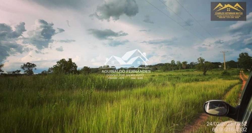 Fazenda 954 Hectares Dupla aptidão perto de Cuiabá MT