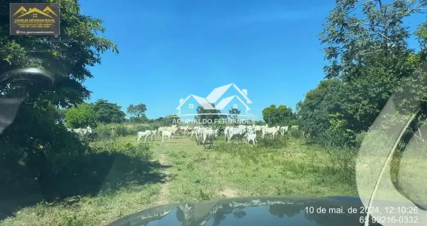 Fazenda Pecuaria 1.956 Hectares Próximo de Cuiabá MT