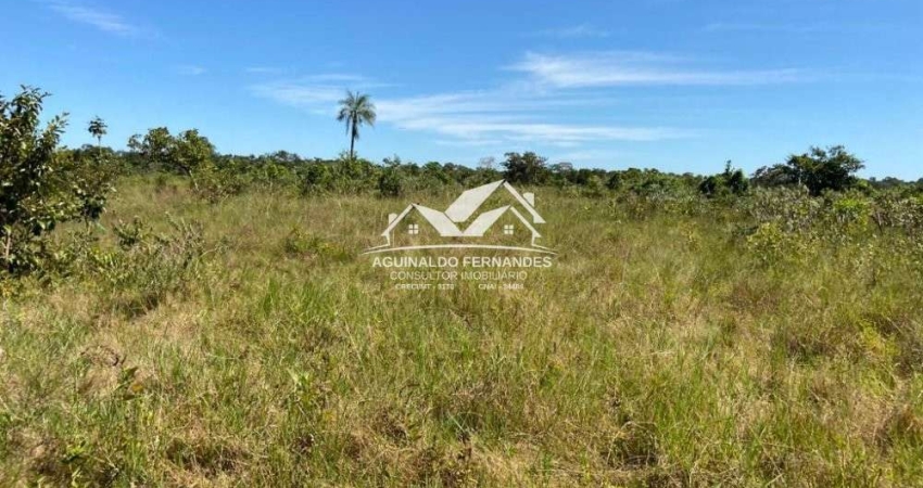 Fazenda à venda no Pirizal, Nossa Senhora do Livramento 