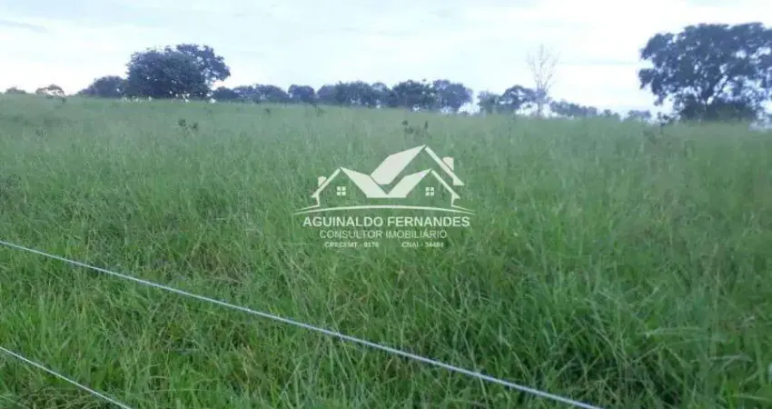 Fazenda à venda na Zona Rural, Poxoréu