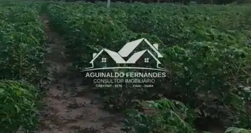 Chácara / sítio à venda na Zona Rural, Santo Antônio do Leverger 