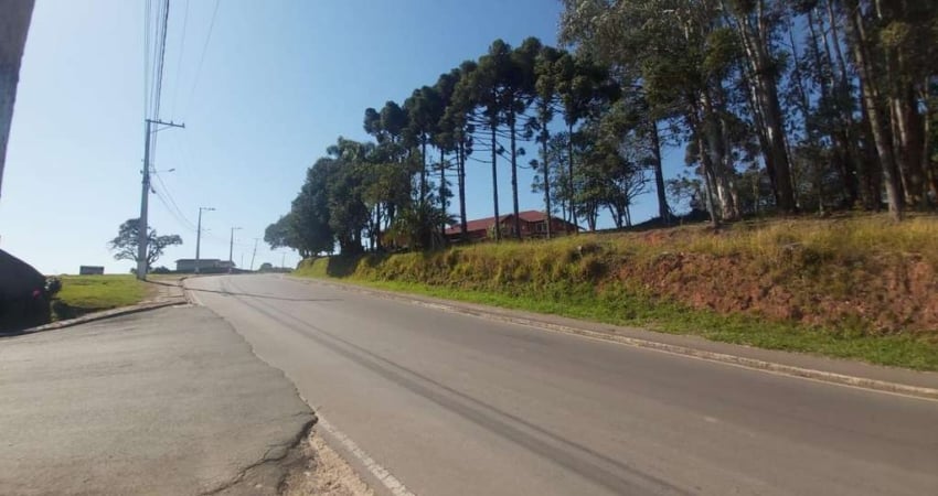 Terreno para Venda em Contenda, Jardim Carlito Rudek