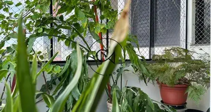 Apartamento à venda na vila romana - sp - 3 suítes e 4 vagas, 173 m2