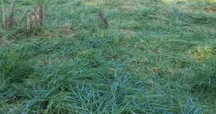 Terreno à venda 1000 m² R$ 1.500.000 - Chácara Malota - Jundiaí/SP