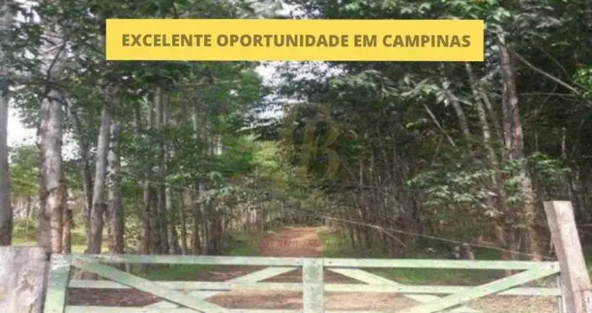 Terreno à venda na Rua dos Ulmeiros, Bairro das Palmeiras, Campinas