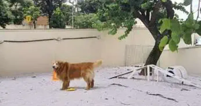 Apartamento com 2 dormitórios à venda, 51 m² por r$ 410.000,00 - campestre - santo andré/sp