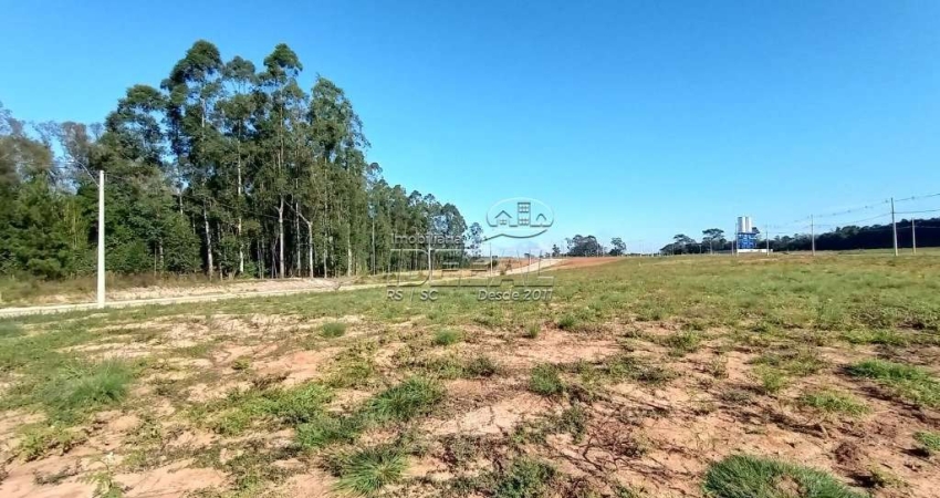 Terreno à venda na California, Nova Santa Rita 