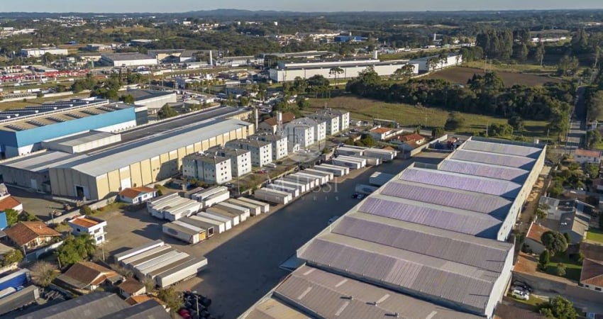 Terreno comercial para alugar em Campina, São José dos Pinhais 