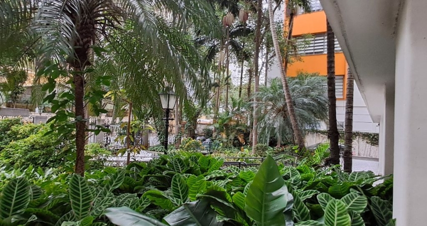 Av. Higienópolis - Apto 3 doms + 3 banhs + 1vg - Jardim com cara de paraíso.