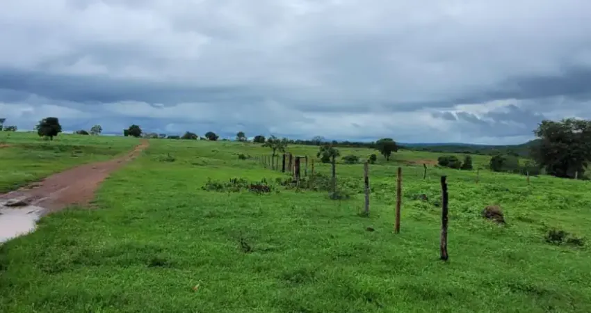 Niquelandia colinas do sul fazenda dupla aptidâo 1700 hectares