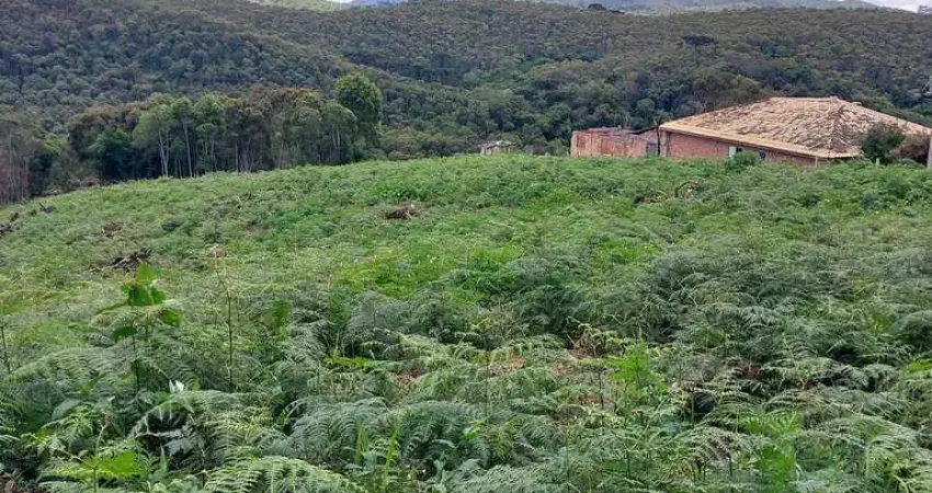 Chácara / sítio à venda na Zona Rural, Bocaiúva do Sul 