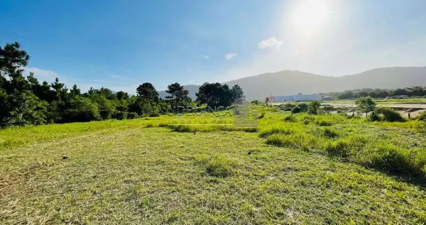 Terreno comercial à venda na Rua Candido Pereira dos Anjos, --, São João do Rio Vermelho, Florianópolis