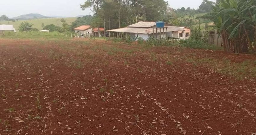 Chácara / sítio com 2 quartos à venda na Rural, 1011, Zona Rural, Barão de Antonina