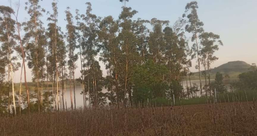 Chácara / sítio à venda na Rural, 1010, Zona Rural, Barão de Antonina