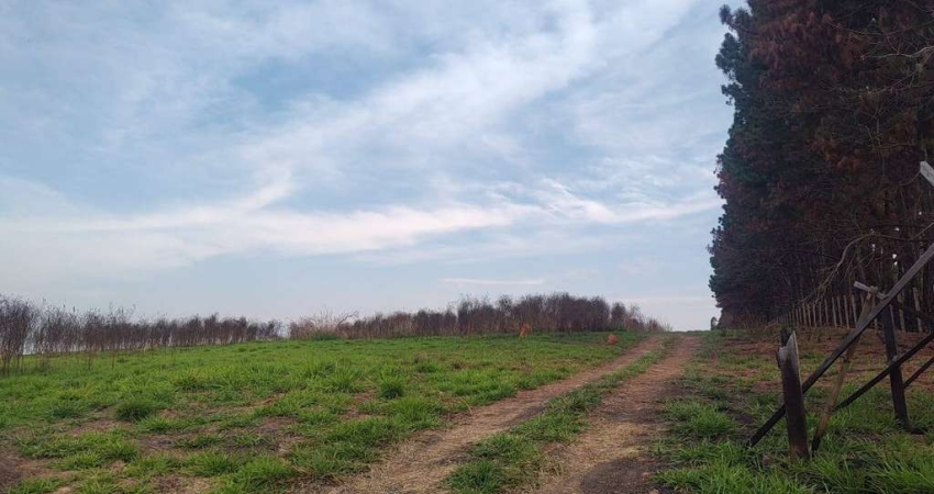 Terreno à venda na Castelo Brano Km 90, 90, Zona Rural, Águas de Santa Bárbara