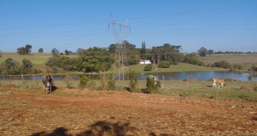 Chácara / sítio à venda na Vicinal, 8400, Centro, Ribeirão Branco