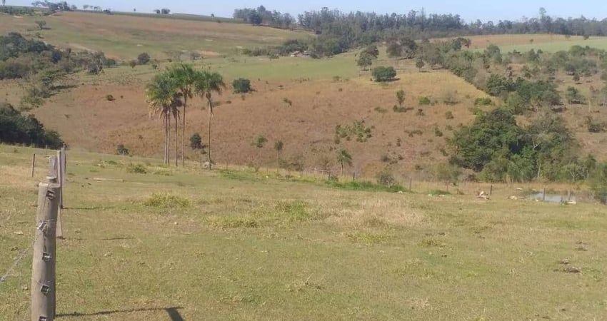 Chácara / sítio com 3 quartos à venda na Estrada Vicinal, 1010, Centro, Carlópolis
