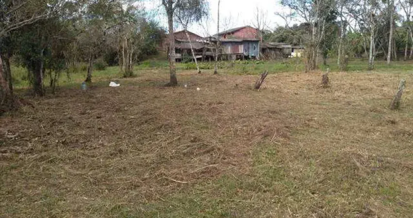 Chácara / sítio com 5 quartos à venda na BR 116, 529, Centro, Barra do Turvo