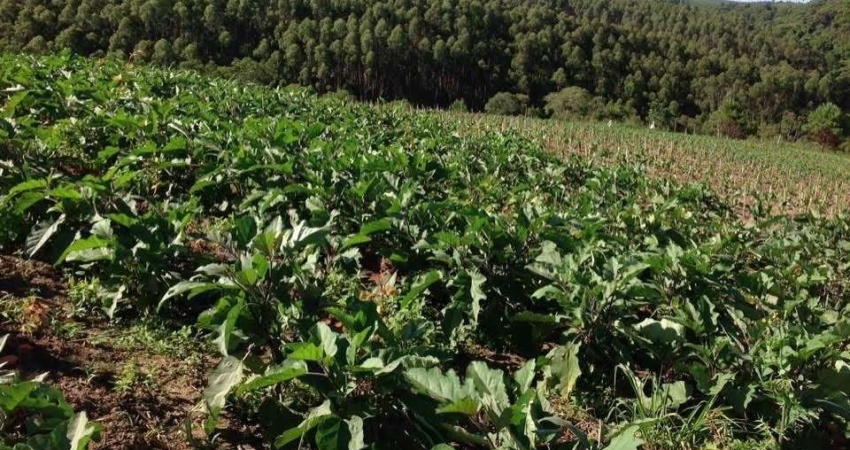 Chácara / sítio à venda na Nequinho Fogaça, Abaitinga, São Miguel Arcanjo