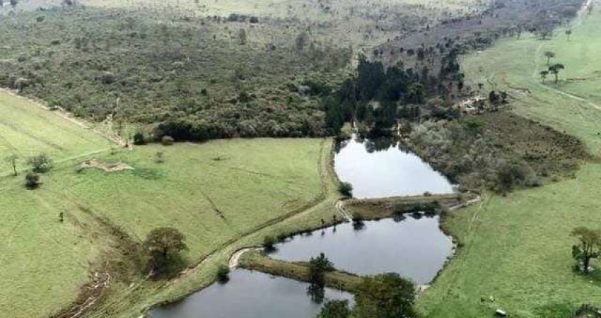Fazenda à venda na Km 183 da Rodovia Castelo Branco, 9999, Zona Rural, Bofete