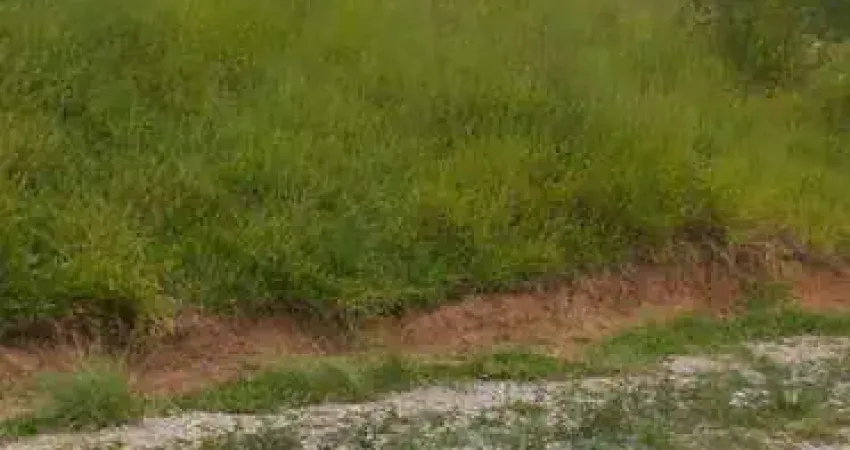 Chácara / sítio à venda na Rural, 9999, Área Rural de Itapeva, Itapeva
