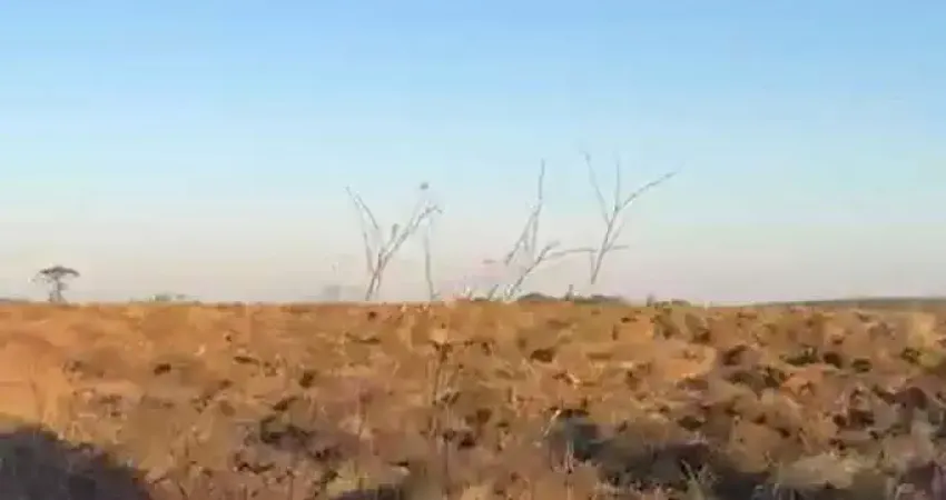 Fazenda à venda na Rural de Jaguariaíva, 888879, Zona Rural, Jaguariaíva