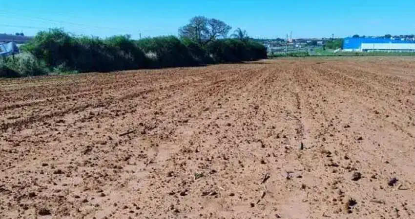 Terreno comercial à venda na Rodovia Professor Zeferino Vaz, 9999, Sítio Novo, Artur Nogueira
