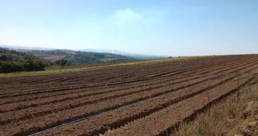 Chácara / sítio à venda na Rural, 9988, Zona Rural, Piedade