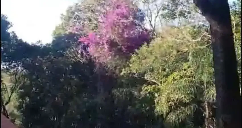 Chácara / sítio à venda na do Campo Verde, 9999, Campo Verde, Ibiúna