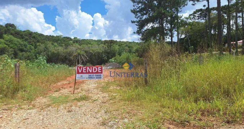 Chácara à venda, 4000 m² por R$ 235.000,00 - São Dimas - Colombo/PR
