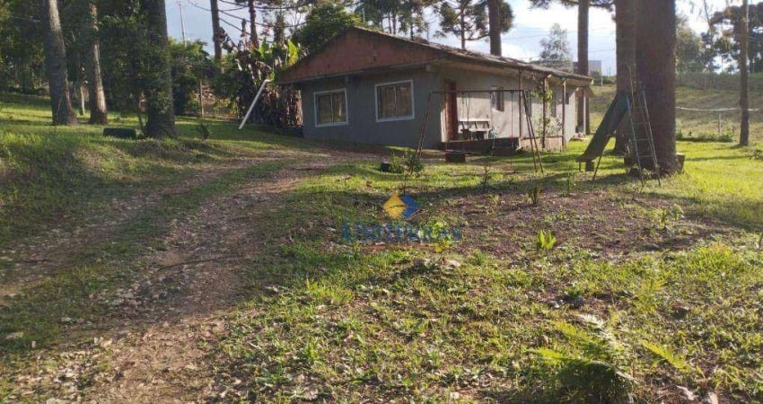 Chácara com 3 dormitórios à venda, 1000 m² por R$ 180.000,00 - Saltinho - Campina Grande do Sul/PR