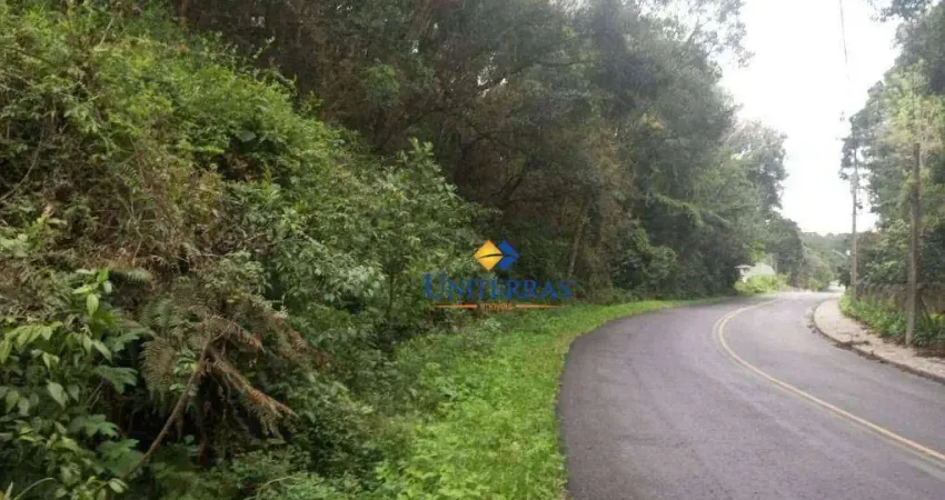 Terreno à venda, 26589 m² por r$ 1.600.000,00 - ferraria - campo largo/pr