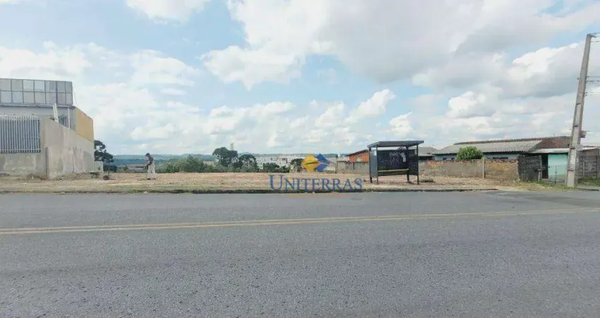 Terreno, 1050 m² - venda por R$ 950.000 ou aluguel por R$ 2.700/mês - Campina Do Arruda - Almirante Tamandaré/PR