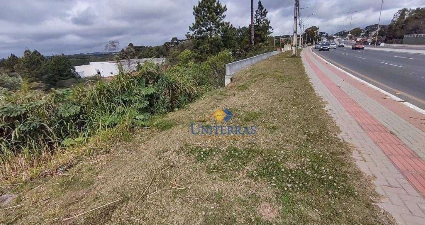Terreno à venda, 7862 m² por R$ 5.000.000,00 - Parque do Embu - Colombo/PR