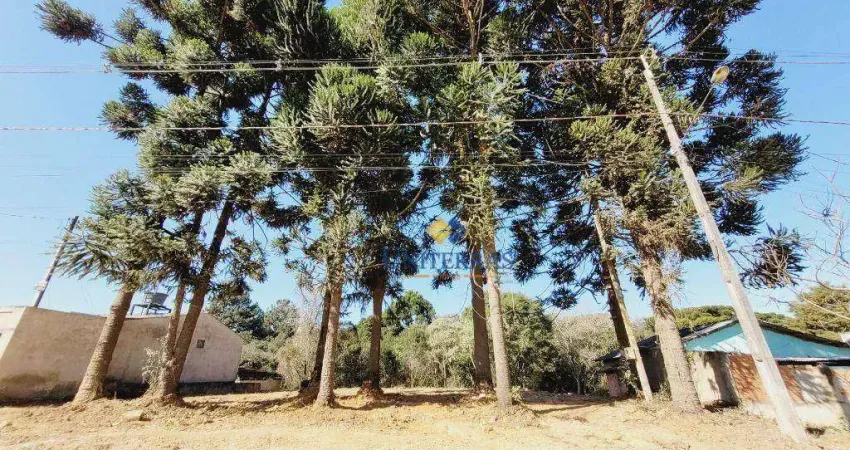 Terreno à venda, 182 m² por R$ 99.000,00 - Parque do Embu - Colombo/PR