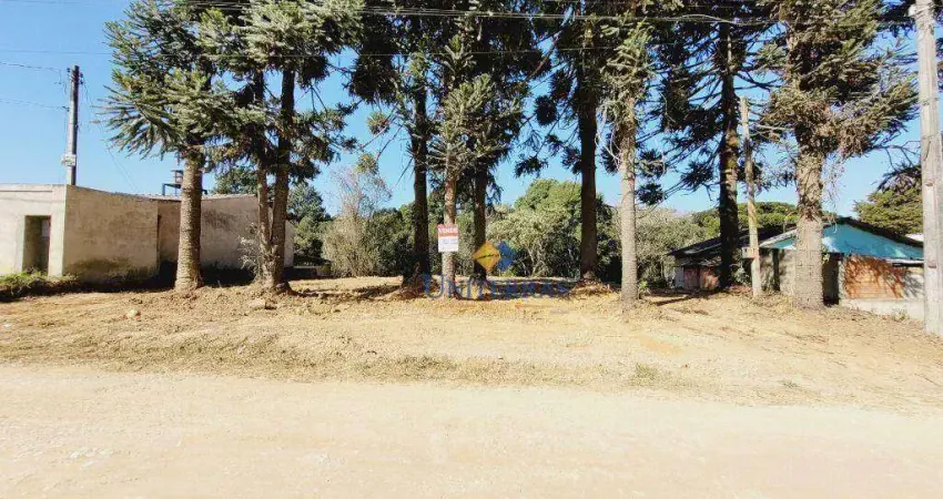 Terreno à venda, 701 m² por R$ 199.000,00 - Parque do Embu - Colombo/PR