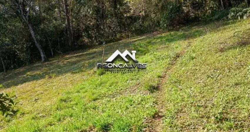 Chácara à venda em piraquara, vila fuck, com 1 quarto, 3000m²