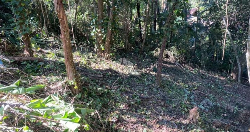 Terreno à venda, 473 m² por R$ 52.000,00 - Interlagos Village - Mairiporã/SP