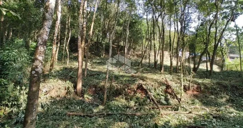 Terreno à venda, 1250 m² por R$ 170.000,00 - Paraíso da Cantareira - Mairiporã/SP