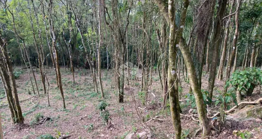 Terreno com 1.250m² a venda por r$ 150.000,00 - paraíso da cantareira - mairiporã/sp